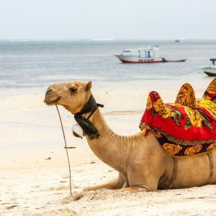 Egypt