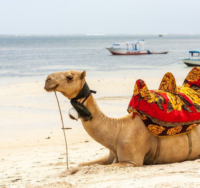Egypt